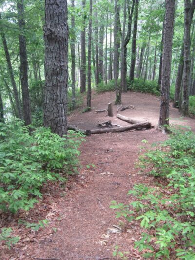 Backcountry Campsite #87 - Fontana Dam, NC