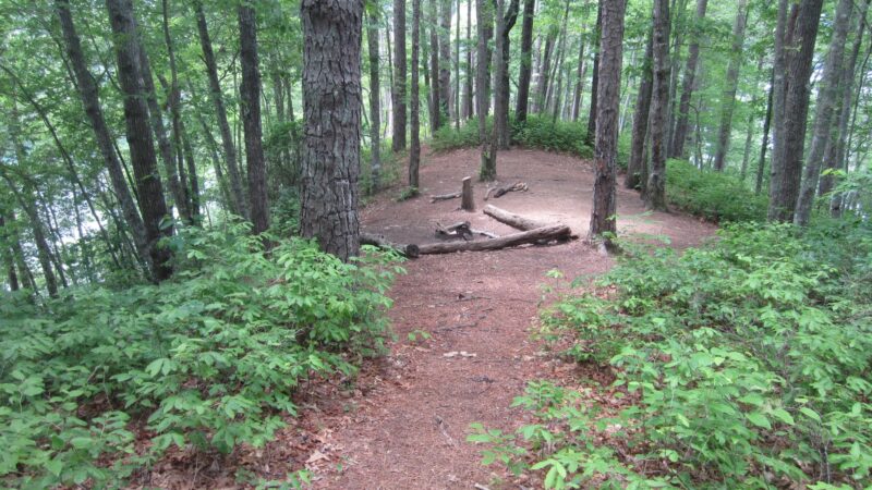 Backcountry Campsite #87 - Fontana Dam, NC
