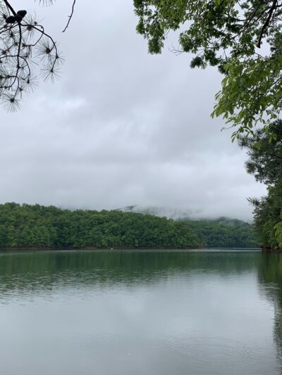 Backcountry Campsite #87 - Fontana Dam, NC