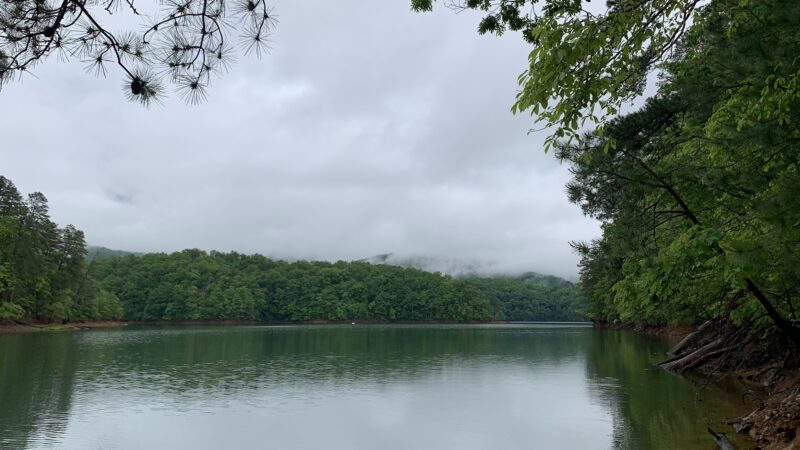Backcountry Campsite #87 - Fontana Dam, NC