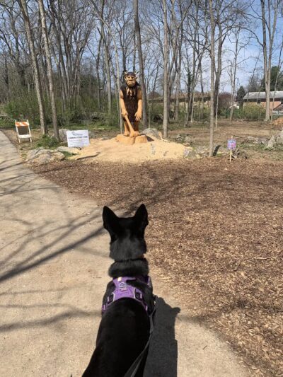 Force Free Cain9’s - ,