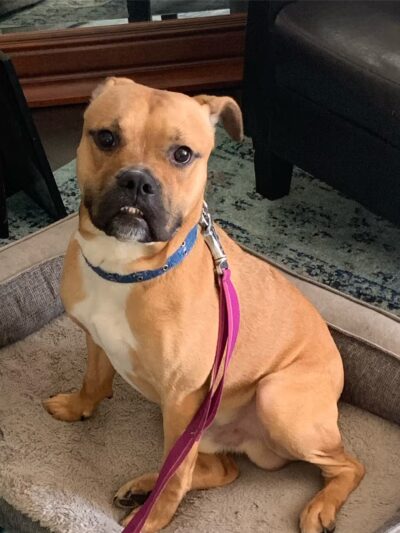 Force Free Cain9’s - ,