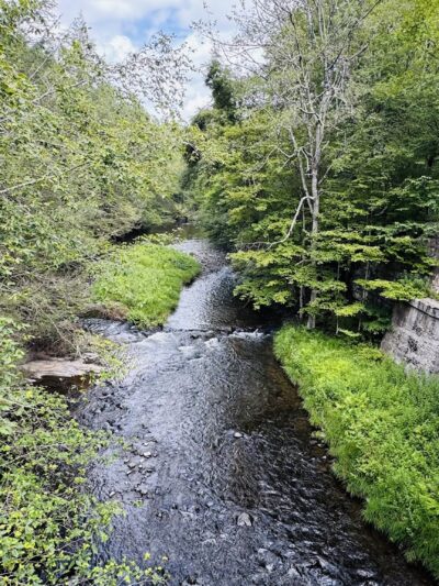 D&H Rail-Trail, Forest City Trailhead - Forest City, PA