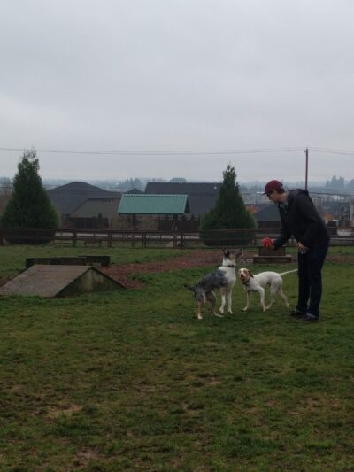Thatcher Dog Park - Forest Grove, OR
