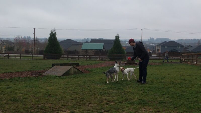 Thatcher Dog Park - Forest Grove, OR