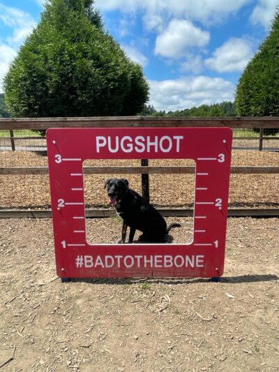 Thatcher Dog Park - Forest Grove, OR