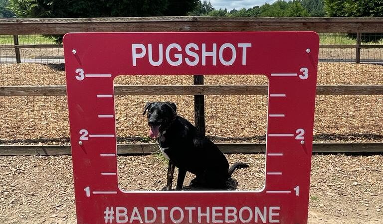 Thatcher Dog Park - Forest Grove, OR