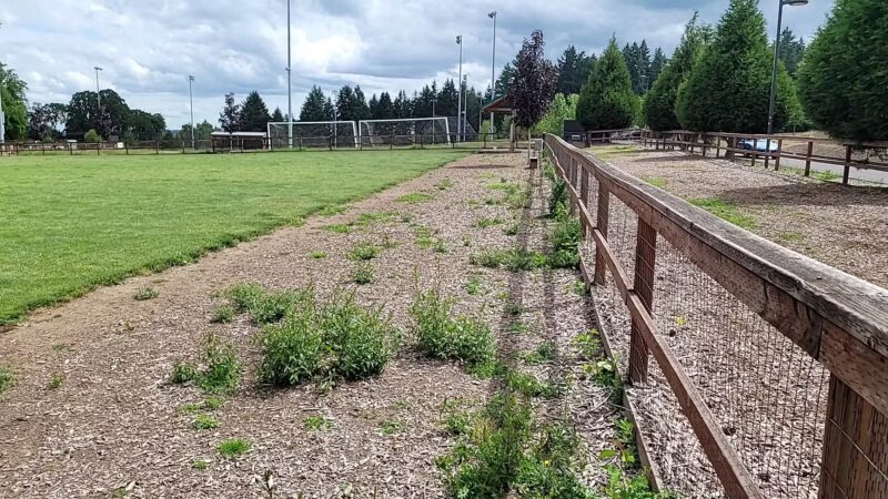 Thatcher Dog Park - Forest Grove, OR