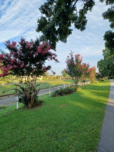 Bill Lee Park - Forest Park, GA