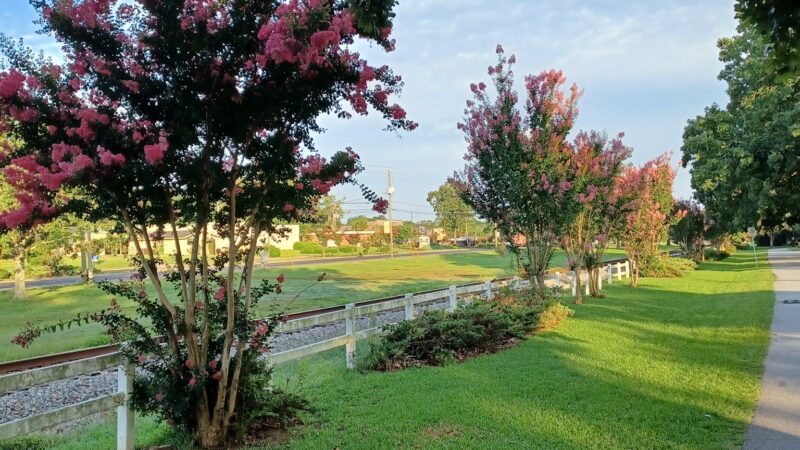 Bill Lee Park - Forest Park, GA