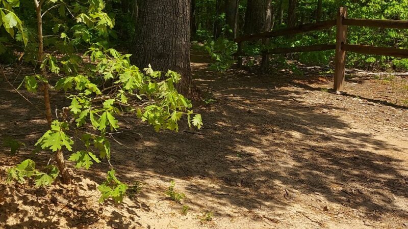 New London Tech Trails - Forest, VA