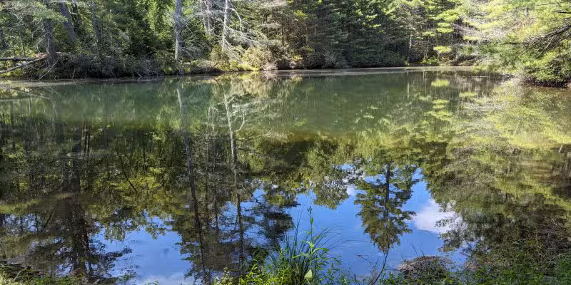 Hatchery Road trailhead - Forestburgh, NY