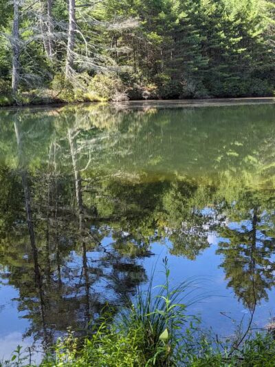 Hatchery Road trailhead - Forestburgh, NY