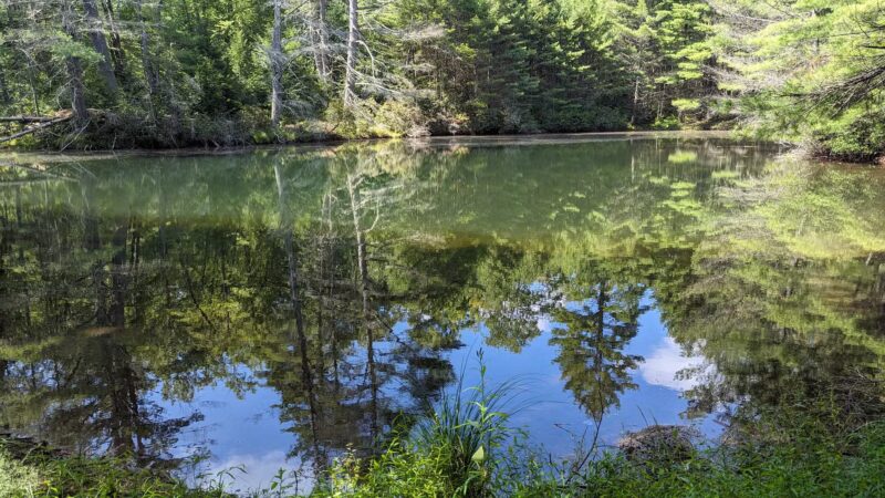 Hatchery Road trailhead - Forestburgh, NY