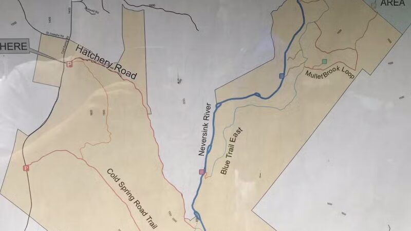 Hatchery Road trailhead - Forestburgh, NY