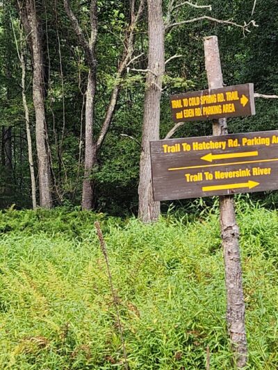 Hatchery Road trailhead - Forestburgh, NY