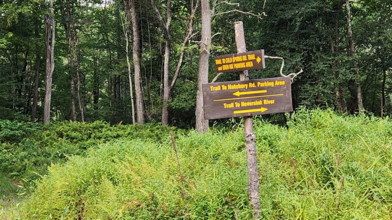 Hatchery Road trailhead - Forestburgh, NY