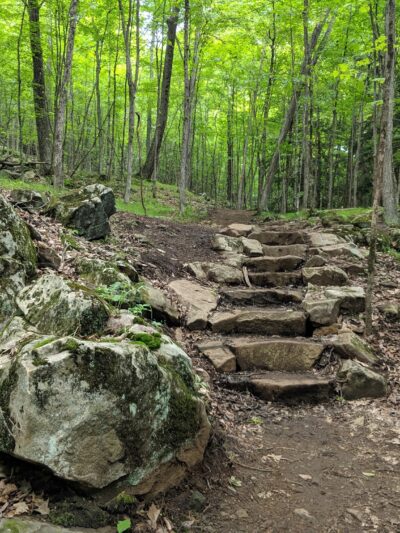 Schumann Preserve at Pilot Knob - Fort Ann, NY