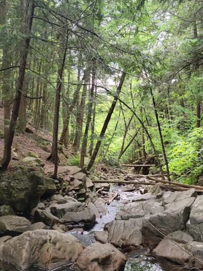 Shelving Rock Area of the Lake George Wild Forest - Fort Ann, NY