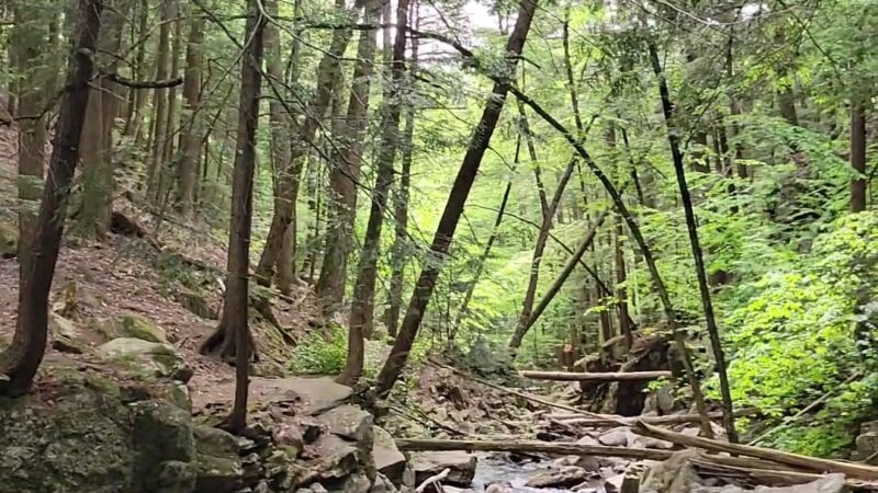 Shelving Rock Area of the Lake George Wild Forest - Fort Ann, NY