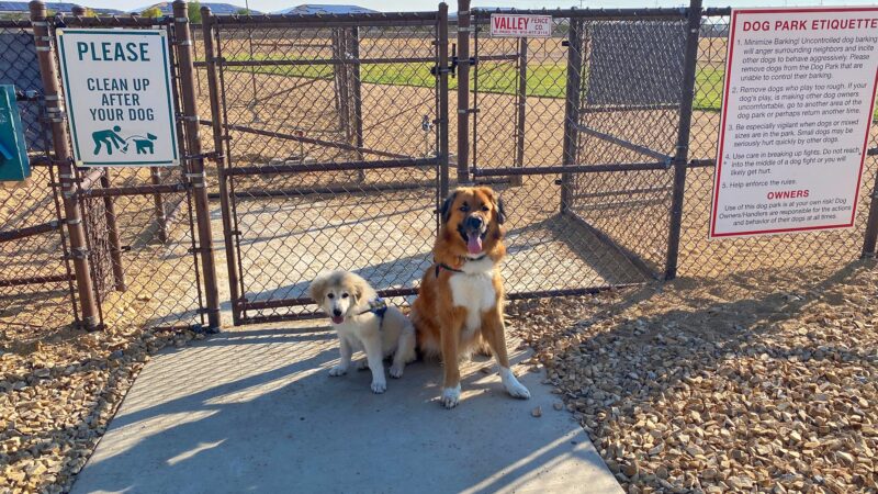 Dog Park - Fort Bliss, TX