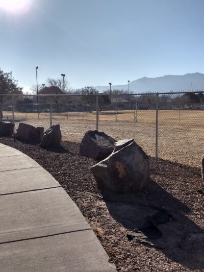 Fort Bliss Family Homes Bark Park - Fort Bliss, TX