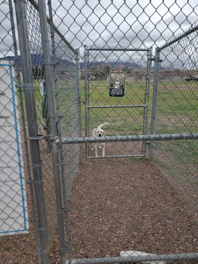Fort Bliss Family Homes Bark Park - Fort Bliss, TX