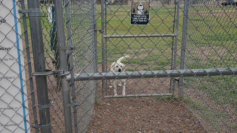 Fort Bliss Family Homes Bark Park - Fort Bliss, TX