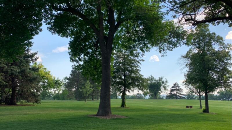 Fort Collins City Park - Fort Collins, CO