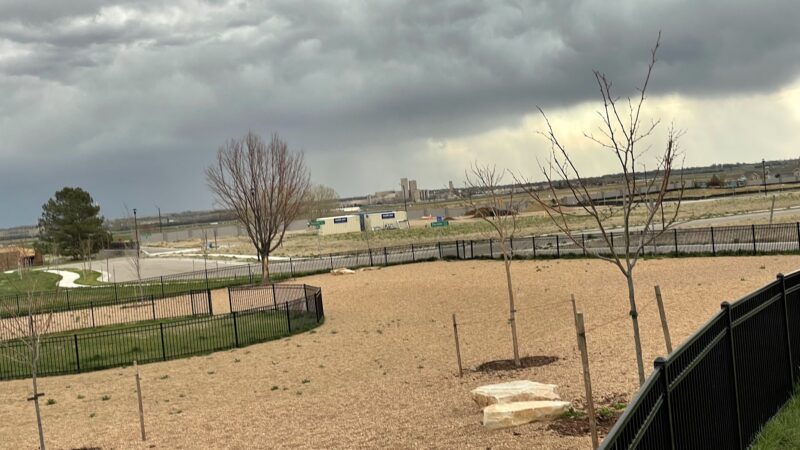 Richard's Lake Dog Park - Fort Collins, CO