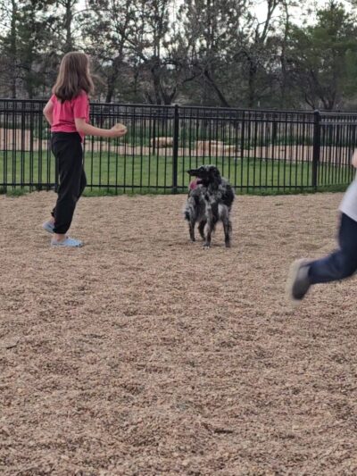 Richard's Lake Dog Park - Fort Collins, CO