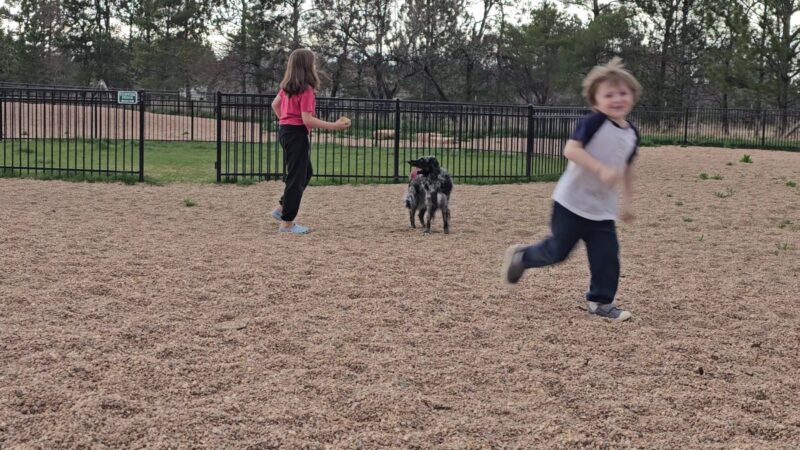 Richard's Lake Dog Park - Fort Collins, CO