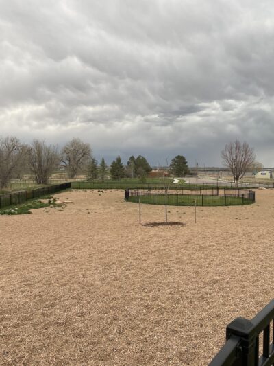 Richard's Lake Dog Park - Fort Collins, CO