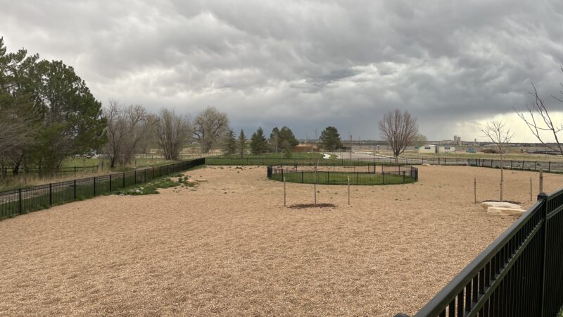 Richard's Lake Dog Park - Fort Collins, CO