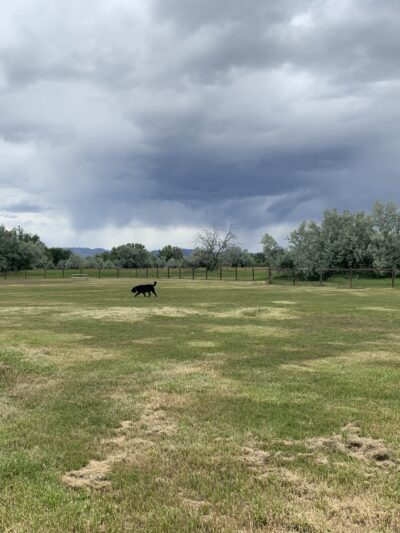 Soft Gold Park - Fort Collins, CO