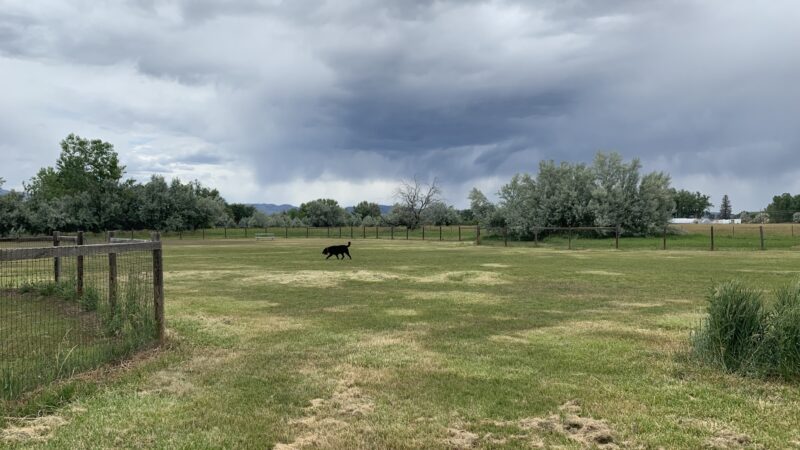 Soft Gold Park - Fort Collins, CO
