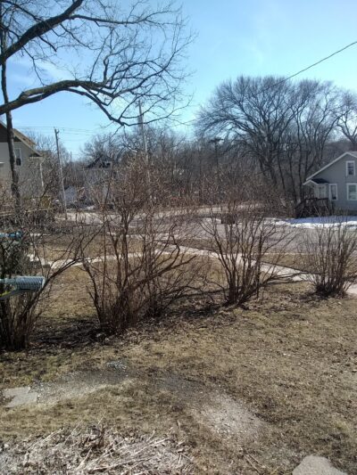 Mason Park - Fort Dodge, IA