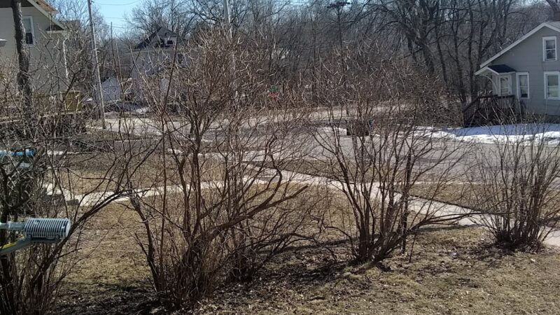 Mason Park - Fort Dodge, IA