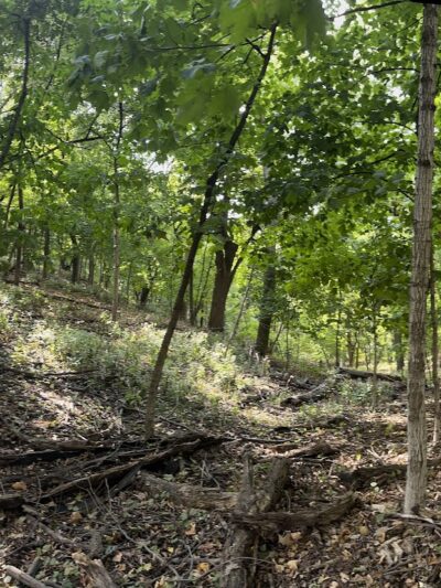 The Diggins - Fort Dodge, IA