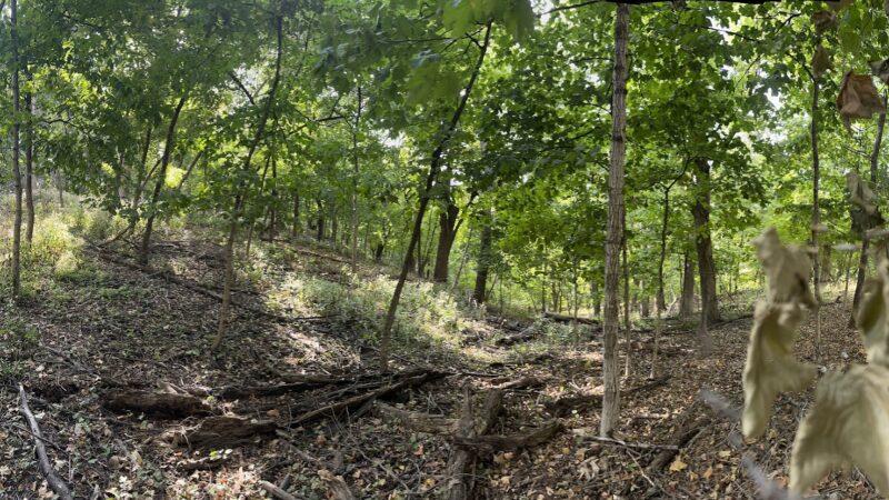 The Diggins - Fort Dodge, IA