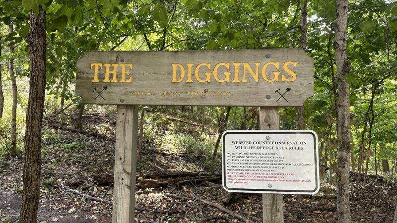 The Diggins - Fort Dodge, IA