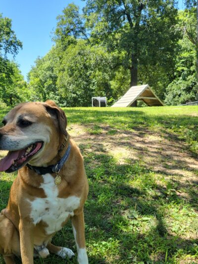 Fort Leavenworth Dog Park - Fort Leavenworth, KS