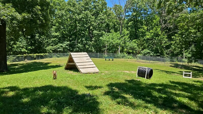 Fort Leavenworth Dog Park - Fort Leavenworth, KS