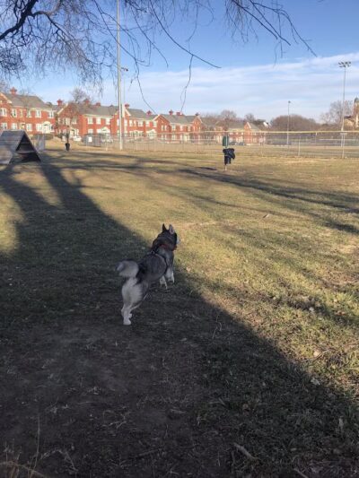 Fort Leavenworth Housing Dog Park - Fort Leavenworth, KS