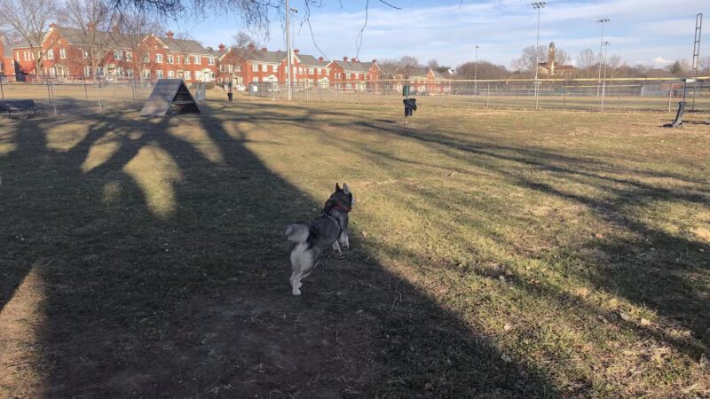 Fort Leavenworth Housing Dog Park - Fort Leavenworth, KS