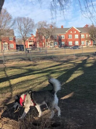 Fort Leavenworth Housing Dog Park - Fort Leavenworth, KS