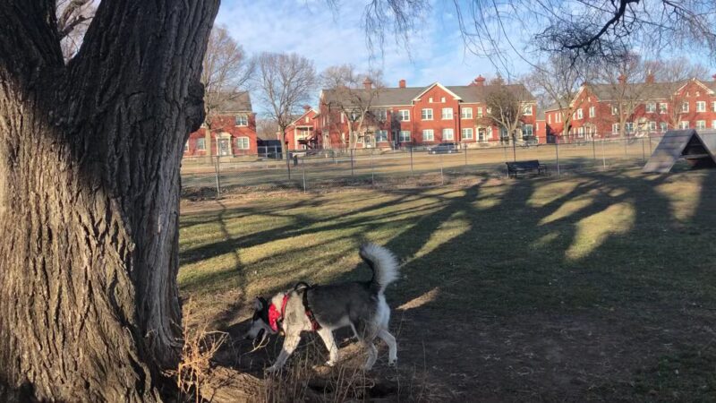 Fort Leavenworth Housing Dog Park - Fort Leavenworth, KS