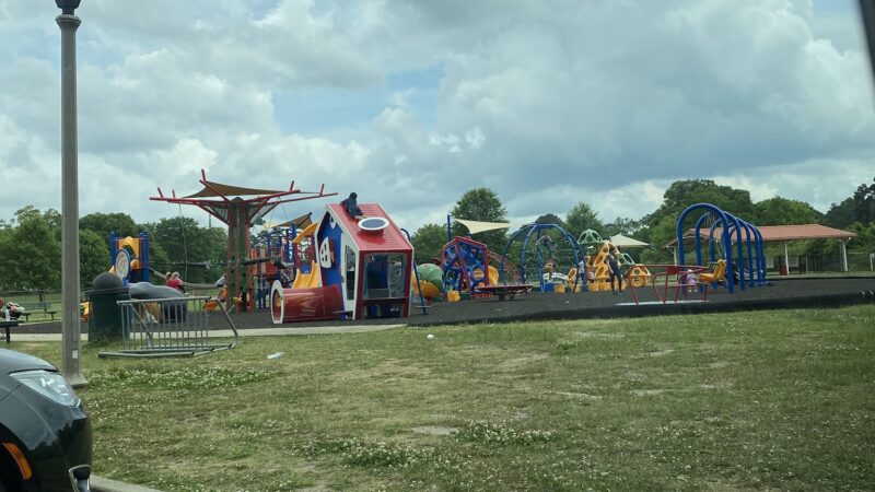 Blue Field Park - Fort Moore, GA