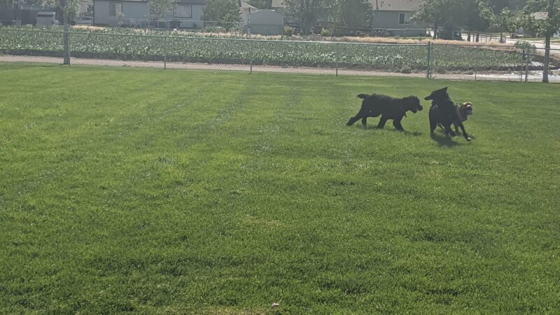 Fort Morgan Dog Park (Gateway) - Fort Morgan, CO