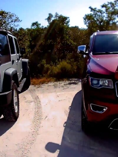 Bonita Beach Dog Park - Fort Myers Beach, FL